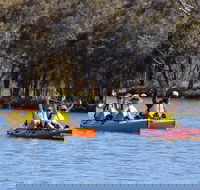 Private Guided River Kayak Tour - St Kilda Accommodation