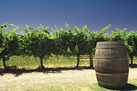 Pinnacles Desert Private Tour - St Kilda Accommodation 4