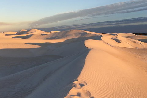 Pinnacles Desert Private Tour - St Kilda Accommodation 2