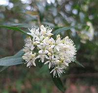 Booderee National Park - St Kilda Accommodation