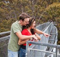 Valley of the Giants Tree Top Walk - St Kilda Accommodation
