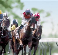 Colac Turf Club - St Kilda Accommodation