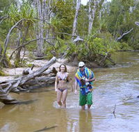 Tjuwaliyn / Douglas Hot Springs Park - St Kilda Accommodation