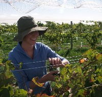 Kingsdale Wines - St Kilda Accommodation