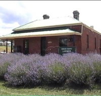 Lavender House in Railway Park - St Kilda Accommodation