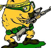 Skirmish Down Under - St Kilda Accommodation