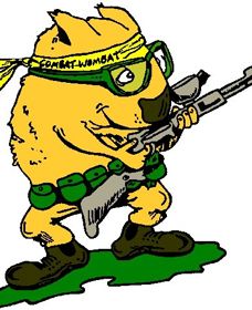 Skirmish Down Under - St Kilda Accommodation 0