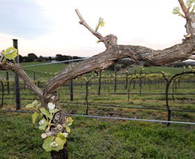 Nalbra Estate Wines - St Kilda Accommodation 0