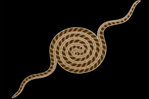 Original & Authentic Aboriginal Art