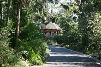 Royal Botanic Gardens Victoria - St Kilda Accommodation 0