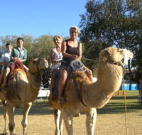 Calamunnda Camel Farm - St Kilda Accommodation