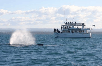 Huskisson NSW St Kilda Accommodation