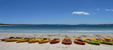 Jervis Bay Kayak & Paddlesports - St Kilda Accommodation 5