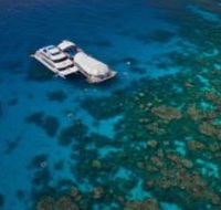 Great Adventures Reef and Green Island Cruises - St Kilda Accommodation