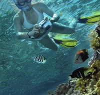 Calypso Reef Charters - St Kilda Accommodation