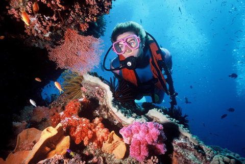 Calypso Reef Charters - St Kilda Accommodation 2