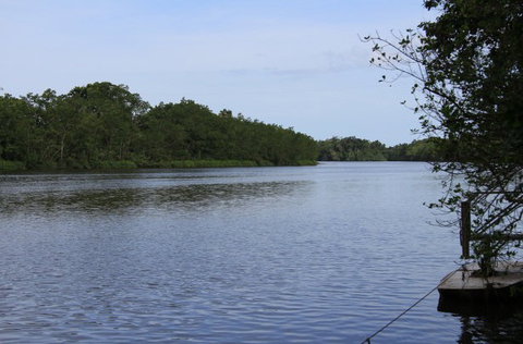 Daintree River Cruise Centre - St Kilda Accommodation 2