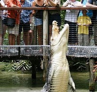 Hartley's Crocodile Adventures - St Kilda Accommodation