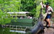 Hartley's Crocodile Adventures - thumb 6
