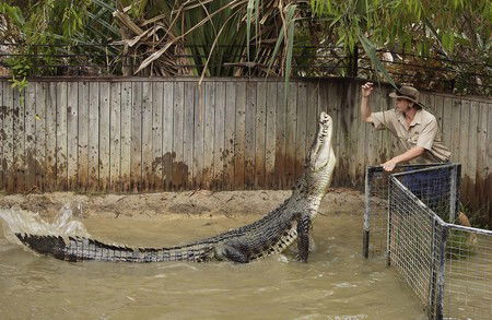 Hartley's Crocodile Adventures - St Kilda Accommodation 8