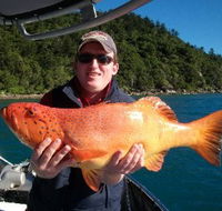 Gone Fishing by Coral Sea Fishing Charters Airlie Beach - St Kilda Accommodation