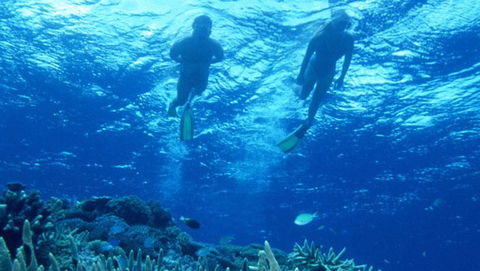 Air Whitsunday Day Tours - St Kilda Accommodation 1
