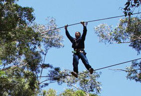 Adventure Parc - St Kilda Accommodation 2