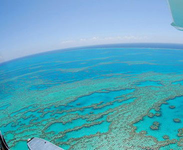Air Whitsunday Seaplanes - St Kilda Accommodation 0