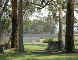 Stanthorpe QLD St Kilda Accommodation