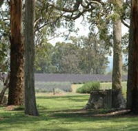 Aloomba Lavender - St Kilda Accommodation