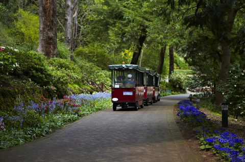 Araluen Botanic Park - St Kilda Accommodation 0
