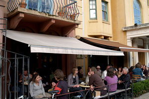 Dogs Bar - St Kilda Accommodation 0