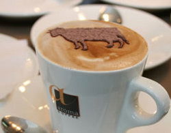 Brown Cow