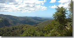 St Bernards Hotel - St Kilda Accommodation 1