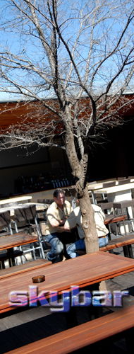 Alma Tavern - St Kilda Accommodation 2