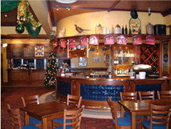 Slug And Lettuce - St Kilda Accommodation 2