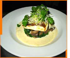 Bar Corvina - St Kilda Accommodation 2