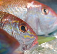Coro Hotel - Lure Seafood Restaurant - St Kilda Accommodation