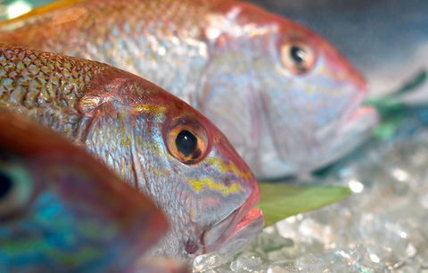 Coro Hotel - Lure Seafood Restaurant - St Kilda Accommodation 0