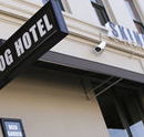 Skinny Dog Hotel - St Kilda Accommodation