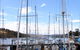 Oyster Cove Inn - thumb 0