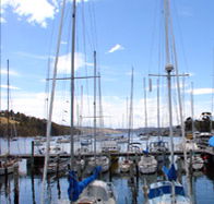 Oyster Cove Inn - St Kilda Accommodation