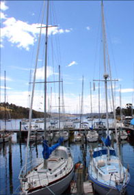Oyster Cove Inn - St Kilda Accommodation 0