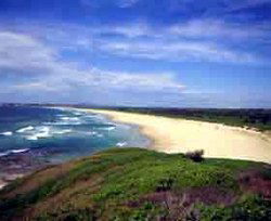 Iluka Tavern - St Kilda Accommodation 1