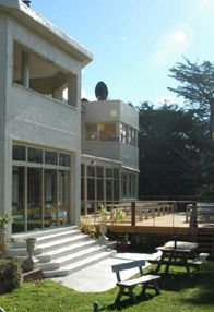 Oyster Cove Inn - St Kilda Accommodation 1