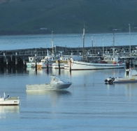 The Apollo Bay Hotel - St Kilda Accommodation