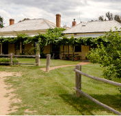 The Blue Duck Inn Hotel - St Kilda Accommodation