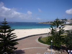 Aquarium - St Kilda Accommodation 2