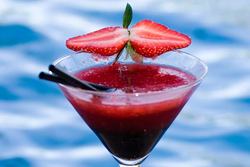 Blue Mango Wine Bar - St Kilda Accommodation 2