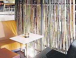 Llama Bar - St Kilda Accommodation 2
